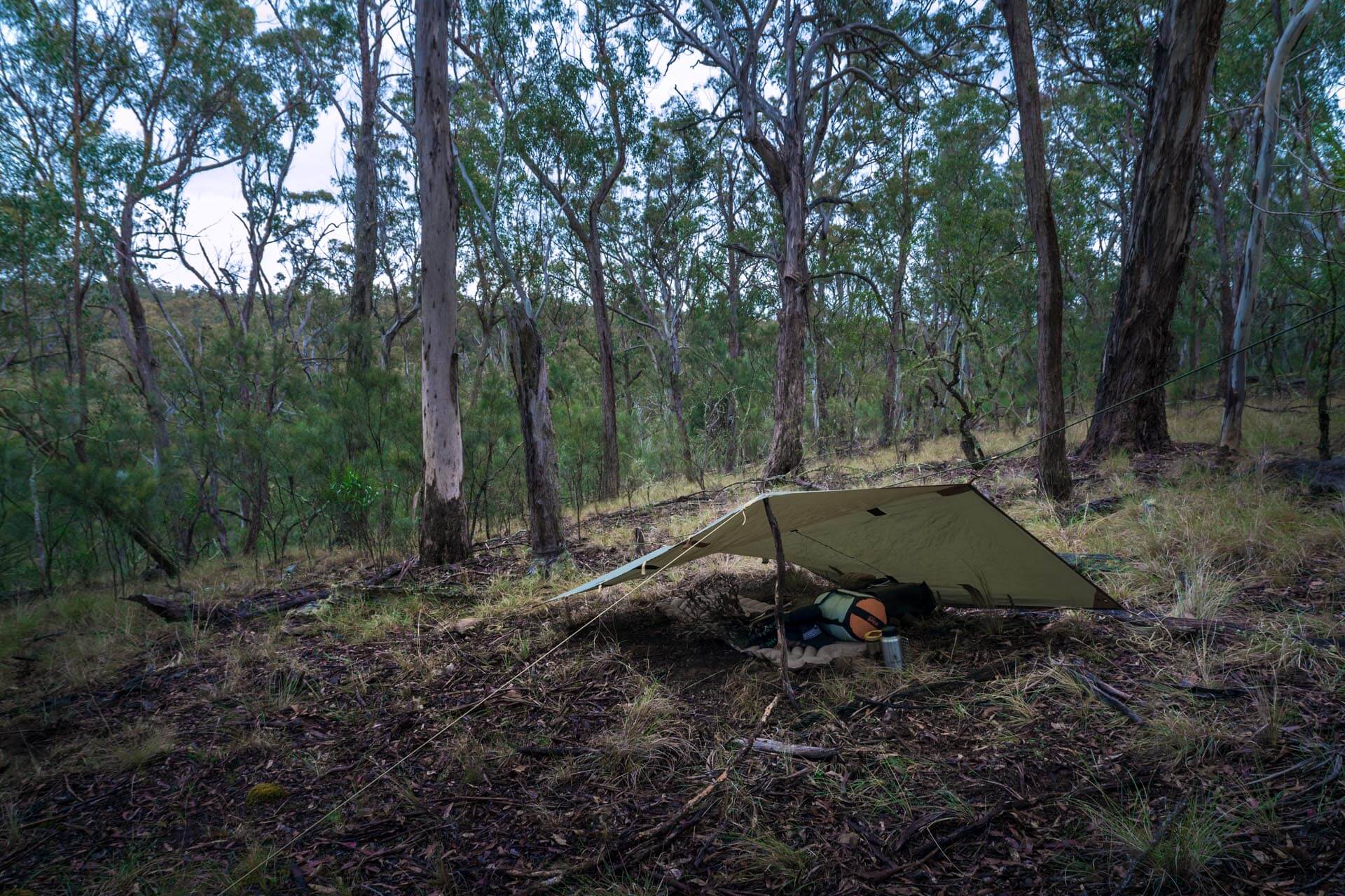 Remote tarp camping in Australian dry forest