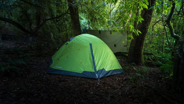 Wild camping in small tent under thick rainforest canopy