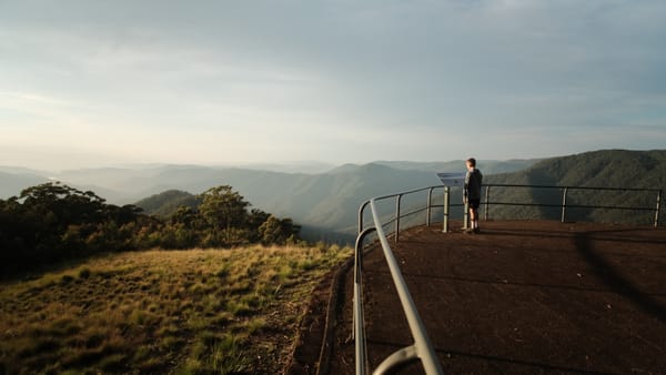 Planting a wilderness in the boy
